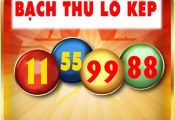 Bạch thủ lô kép