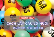 Hướng dẫn cách lấy cầu lô chuẩn xác, hiệu quả