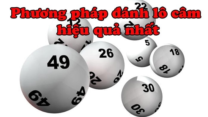 Khái niệm và giải đáp đít 8 câm đánh con gì dễ trúng Khái niệm và giải đáp đít 8 câm đánh con gì dễ trúng