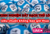 Kinh nghiệm bắt bạch thủ lô siêu chuẩn không bao giờ thua